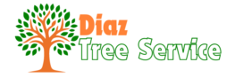 https://diaztreeservicesolutions-com.preview-domain.com/home-2/